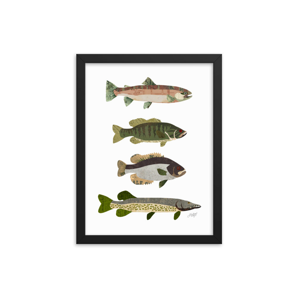 Collage de poissons - Impression mate encadrée
